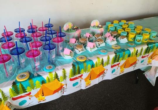 One Happy Camper Party